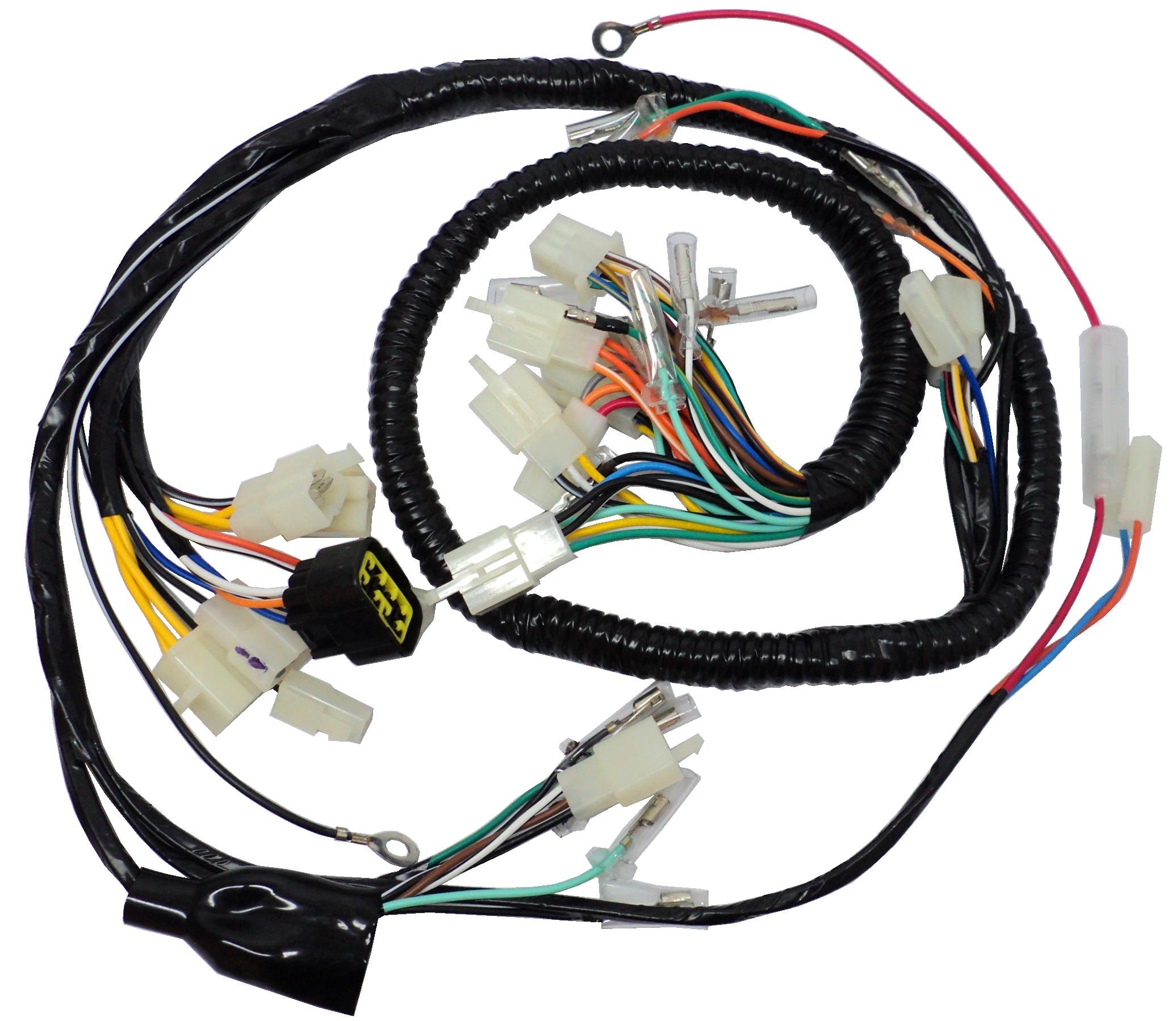 Arnes Completo En125