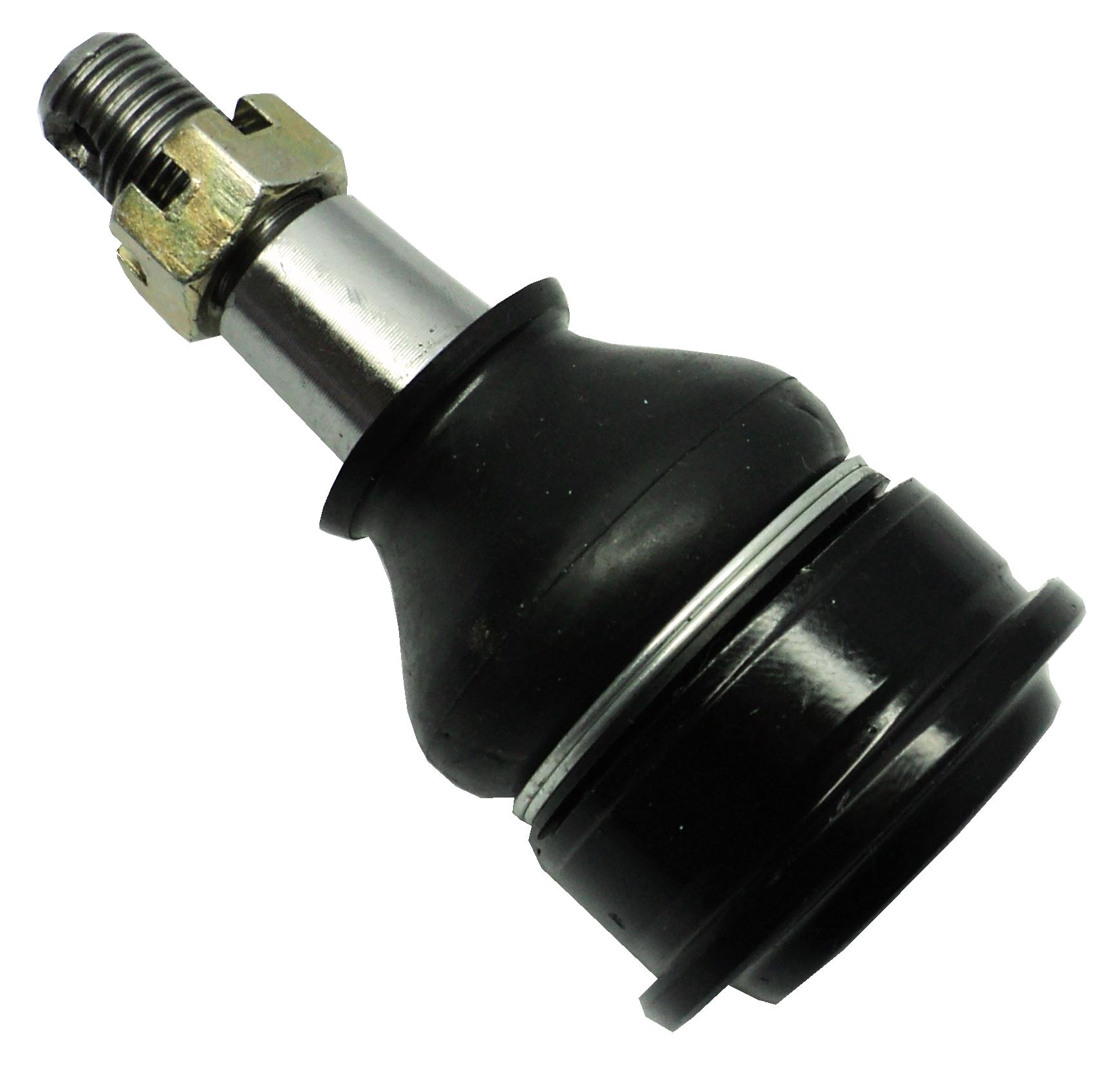 Rotula Inferior Odyssey